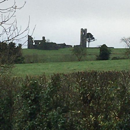 Grangegeeth Inn Slane Zewnętrze zdjęcie