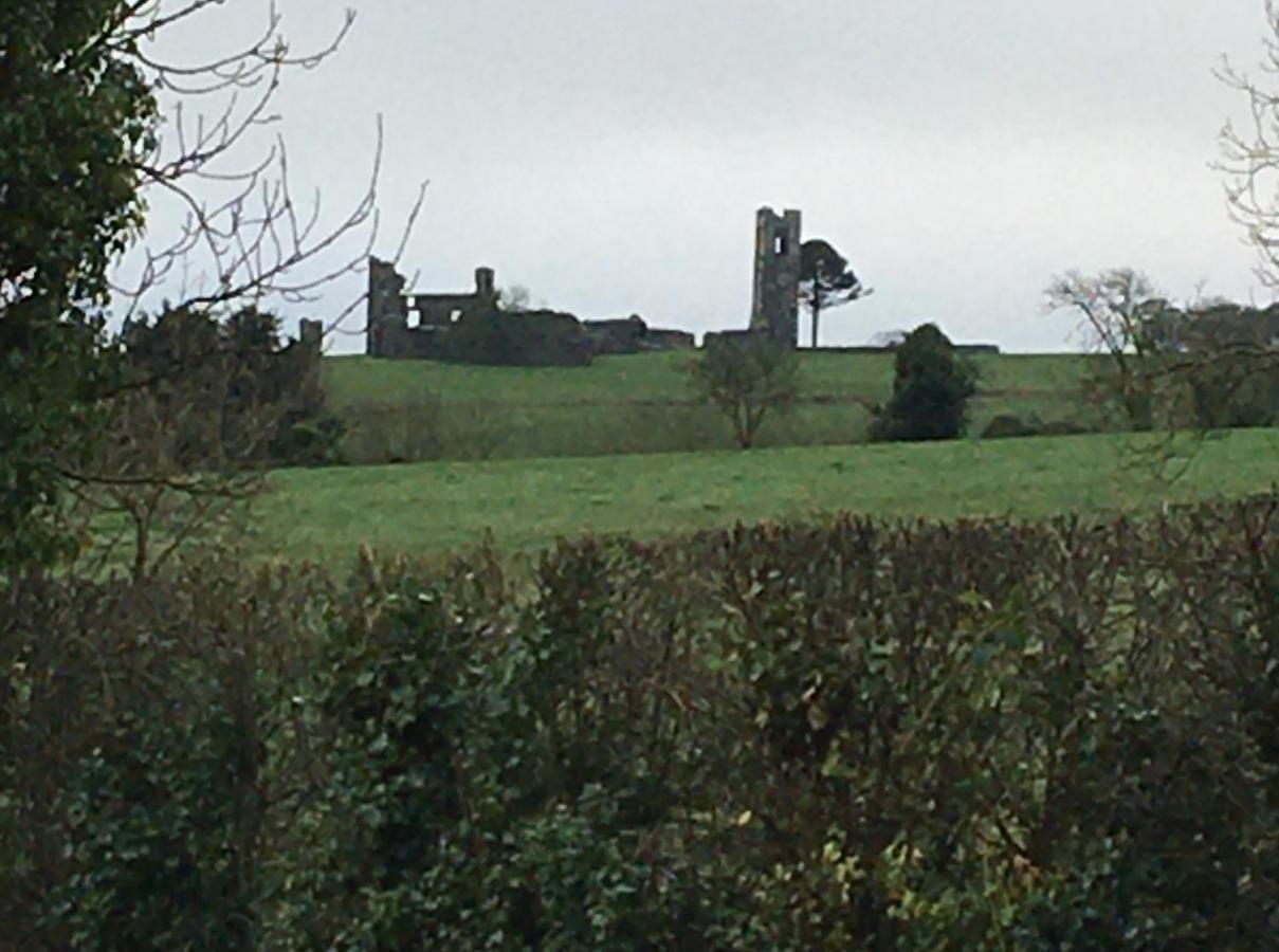 Grangegeeth Inn Slane Zewnętrze zdjęcie